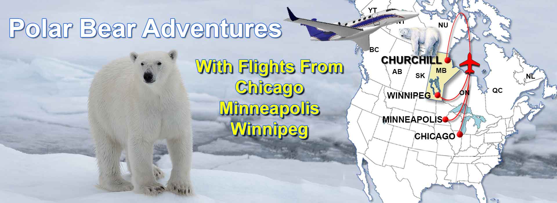 Churchill Polar Bear Charter Flights